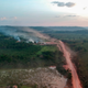 The Amazon Rainforest is at particular risk.